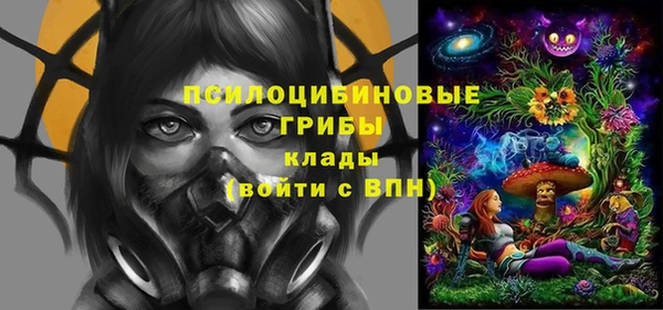 apvp Пересвет