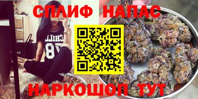 крисы Бузулук