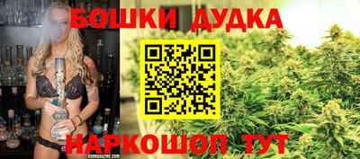 крисы Бузулук